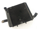 Benelli TNT 1130 Sport [2002] - Radiator Water Cooler-3