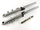 Triumph Sprint 955i RS T695 [2001] - Fork Telescopic fork with axle-1