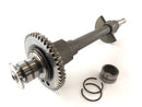 Triumph Daytona 955i T595N [2001] - balance shaft-1