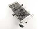 Yamaha XT 660 X DM01 [2006] - Radiator Water Cooler-4
