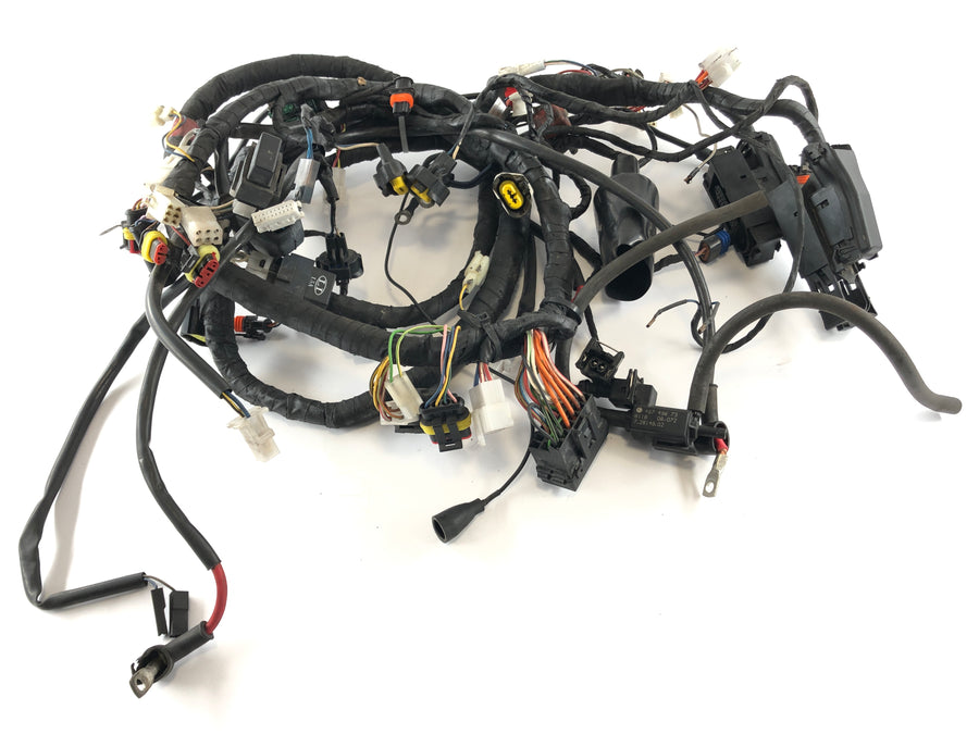 Aprilia RSV 1000 RR Factory [2009] - Wiring harness