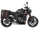 Triumph Trident 660 [2025] - C-Bow Seitenträger-9