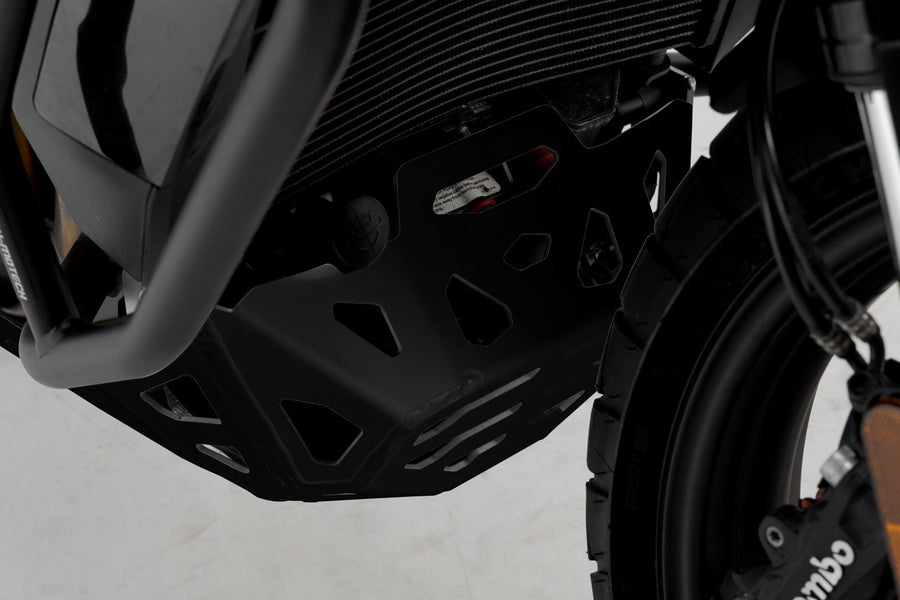 Harley-Davidson RA 1250 Pan America [2021-2024] - Motorschutzbügel – Bild 2
