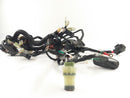 Husqvarna 701 Vitpilen [2018] - Wiring harness-1
