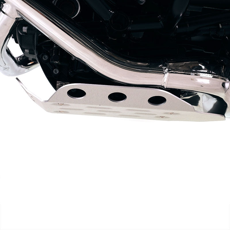 BMW R 12 nineT [2024-2026] - Motorschutz aus Aluminium