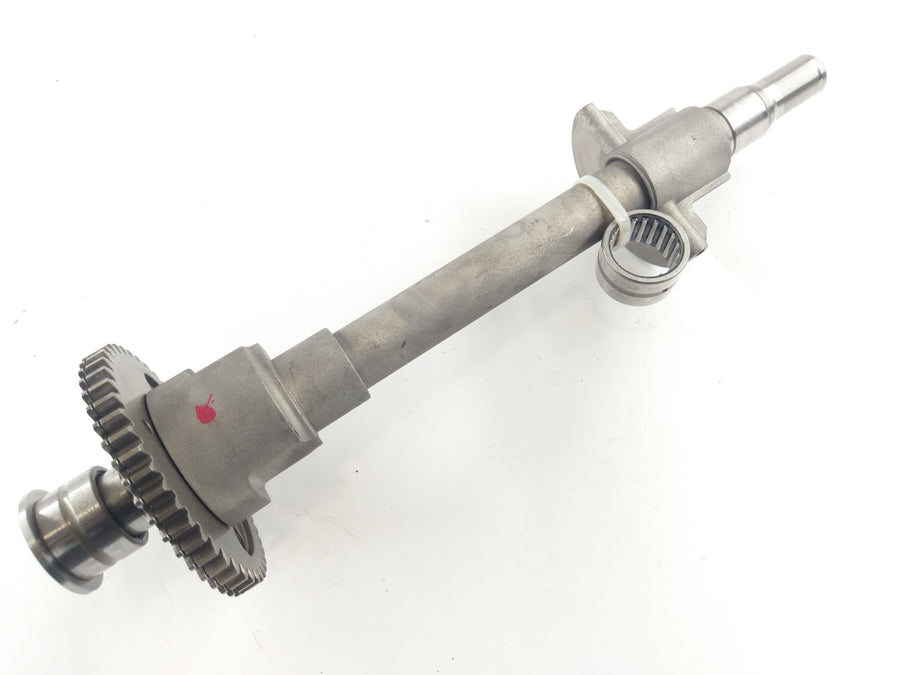 Triumph Daytona 955i T595N [2002] - balance shaft