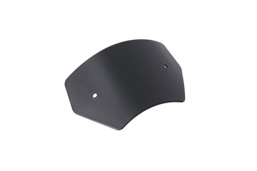 Triumph Bonneville 900 T 100 [2022-2026] - Windschutzscheibe – Bild 1