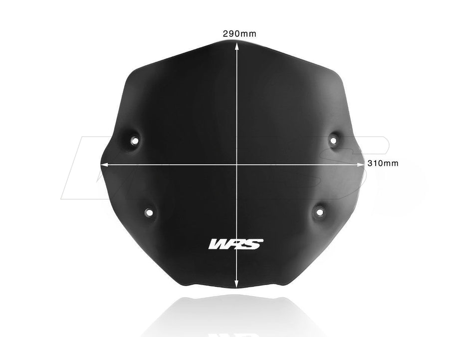 BMW R 1250 R [2019-2024] - Sport windshield - view 8