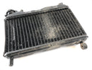 Yamaha TZR 125 4FL [1997] - Radiator slightly warped-1