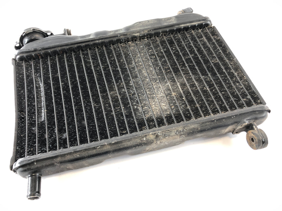 Yamaha TZR 125 4FL [1997] - Radiator slightly warped
