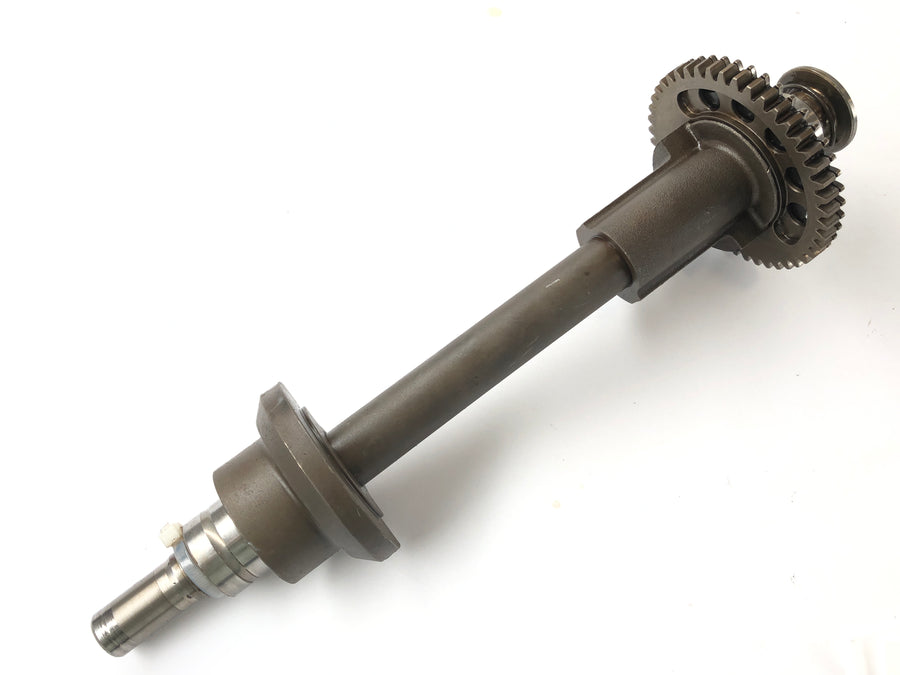 Triumph Tiger 955i 709EN [2001] - balance shaft
