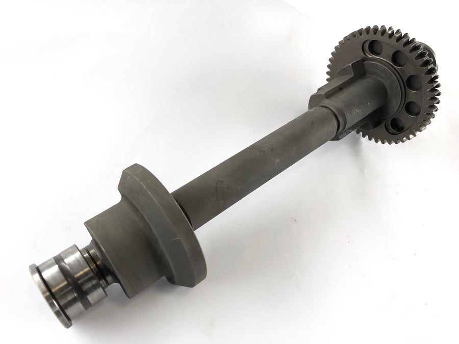 Triumph Speed ​​Triple T509 [1997] - Balance shaft