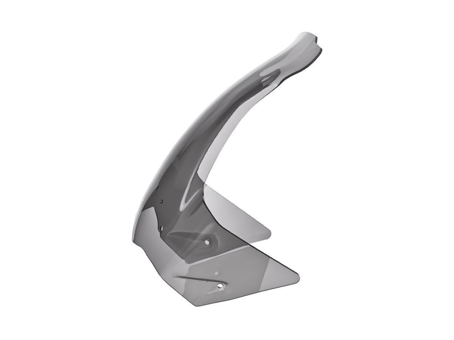 BMW F 800 GS [2008-2018] - Caponord Windschild – Ansicht 5