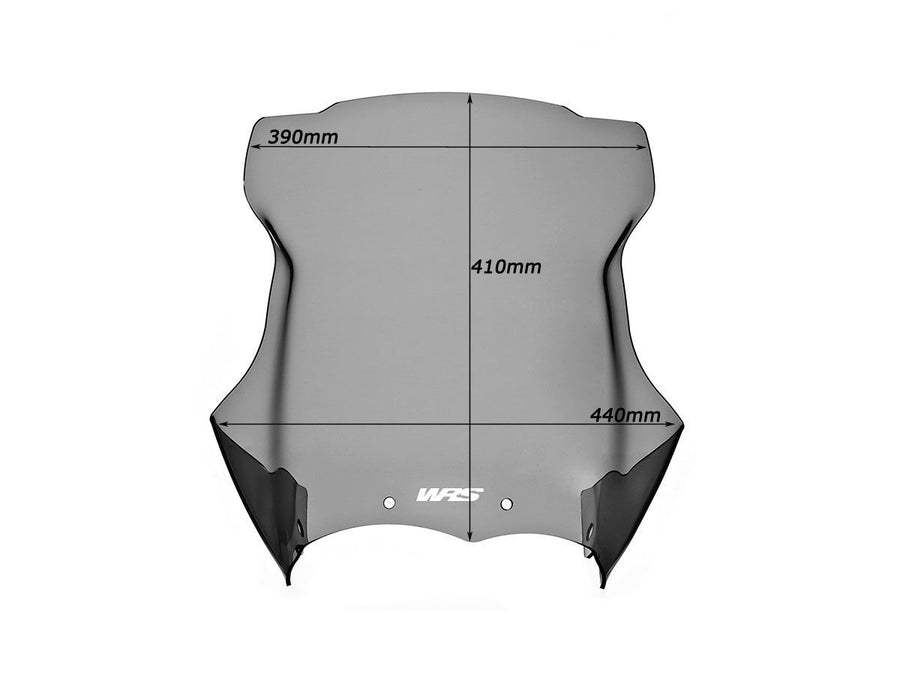 BMW R 1200 GS ADVENTURE [2006-2012] - Intermedio windshield – view 10
