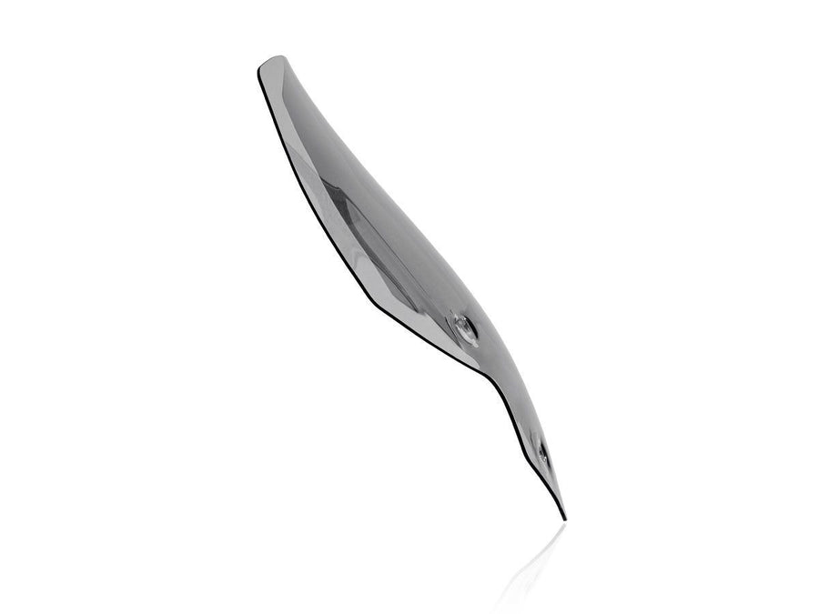 Triumph Tiger 900 GT Pro [2020-2026] - Touring Windschild – Ansicht 9