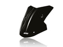 BMW M 1000 XR [2024-2026] - Sport windshield - view 8